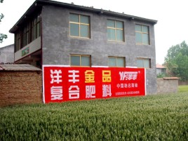 扬州如何让墙体广告展现最大化效果