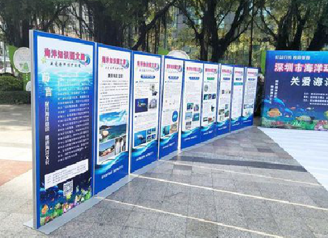 扬州KT板的种类和知识。